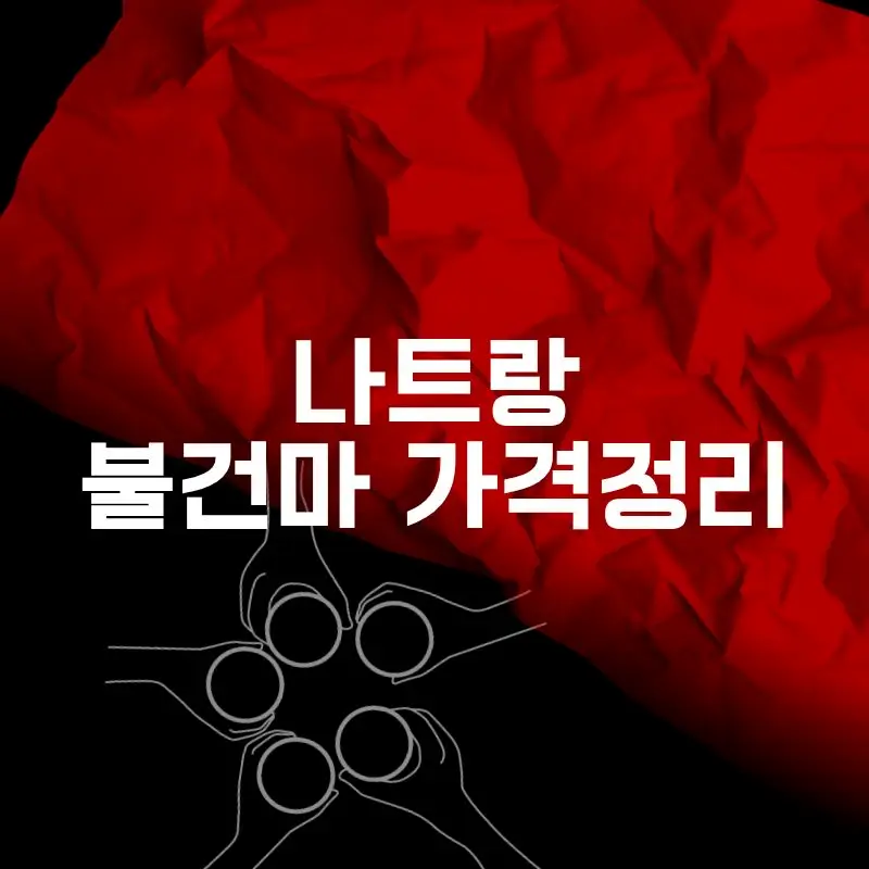 나트랑 불건마 가격정리