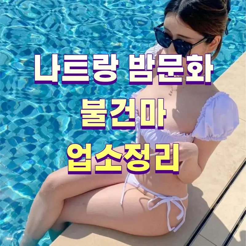 나트랑 밤문화 마사지 업소정리 사진