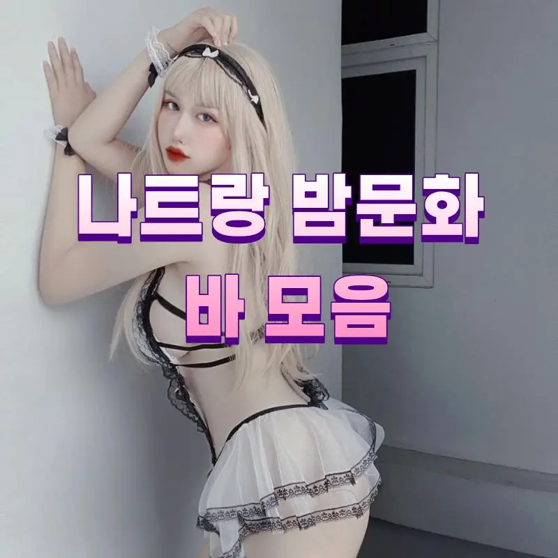 나트랑 밤문화 바 모음