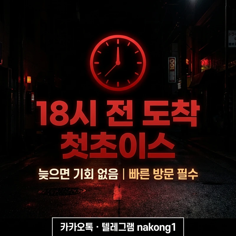 나트랑 가라오케 단체 후기 18시 전 도착 첫초이스 팁