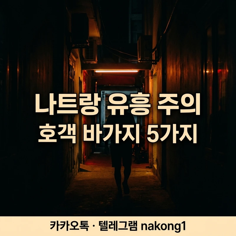 나트랑 유흥 주의 — 호객 바가지 취중 낙오 처음 가는 남자 주의 5가지